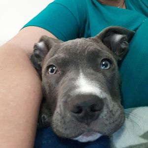 Meet your Posher, Melinda